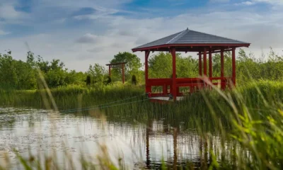 The Rivers Secret Realm