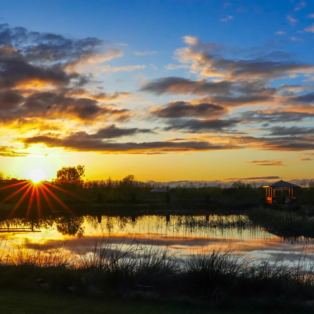 The Lake